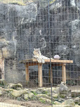 多摩動物公園に投稿された画像（2026/2/16）