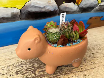 伊豆シャボテン動物公園に投稿された画像（2026/2/16）