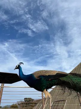 伊豆シャボテン動物公園に投稿された画像（2026/2/16）