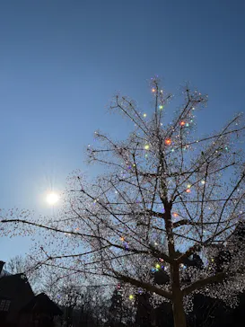 箱根ガラスの森美術館に投稿された画像（2026/2/16）