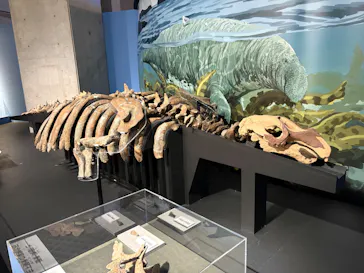 特別展「大絶滅展―生命史のビッグファイブ」に投稿された画像（2026/2/16）