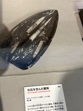 特別展「大絶滅展―生命史のビッグファイブ」に投稿された画像（2026/2/16）