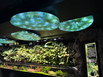 サンシャイン水族館に投稿された画像（2026/2/16）