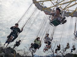 日本モンキーパークに投稿された画像（2026/2/16）