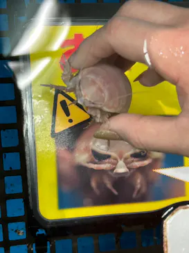 竹島水族館に投稿された画像（2026/2/16）