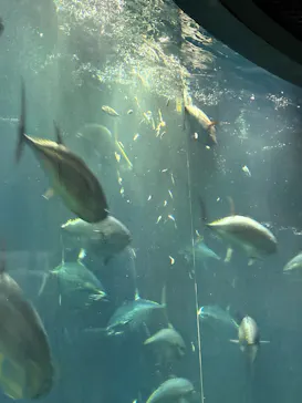 葛西臨海水族園に投稿された画像（2026/2/16）