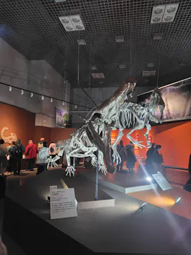 特別展「大絶滅展―生命史のビッグファイブ」に投稿された画像（2026/2/16）