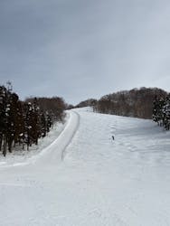 スキージャム勝山に投稿された画像（2026/2/16）