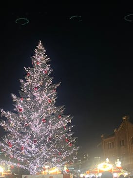 Christmas Market in 横浜赤レンガ倉庫 2025に投稿された画像（2026/2/16）