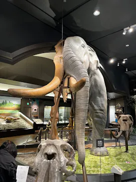 滋賀県立琵琶湖博物館に投稿された画像（2026/2/16）