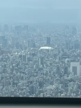 東京スカイツリーに投稿された画像（2026/2/16）