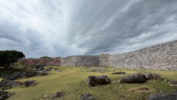 今帰仁城跡に投稿された画像（2026/2/16）