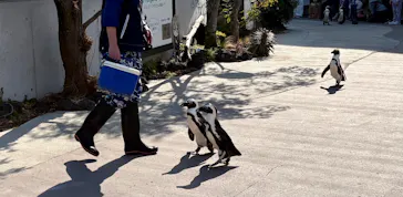 横浜・八景島シーパラダイスに投稿された画像（2026/2/16）