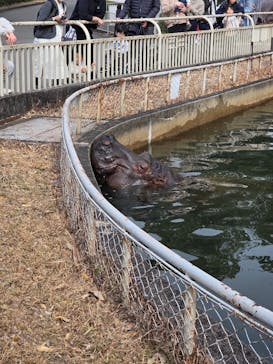 名古屋市東山動植物園に投稿された画像（2026/2/16）