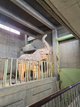 名古屋市東山動植物園に投稿された画像（2026/2/16）
