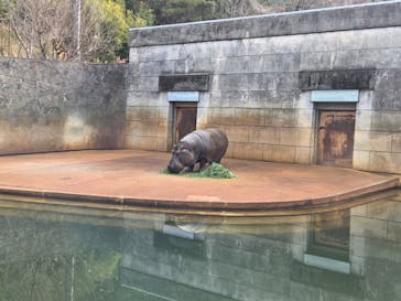 名古屋市東山動植物園に投稿された画像（2026/2/16）