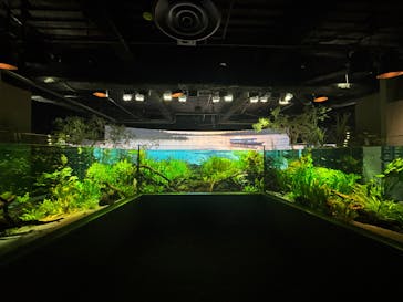 カワスイ 川崎⽔族館に投稿された画像（2026/2/16）