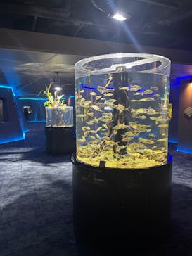 カワスイ 川崎⽔族館に投稿された画像（2026/2/16）