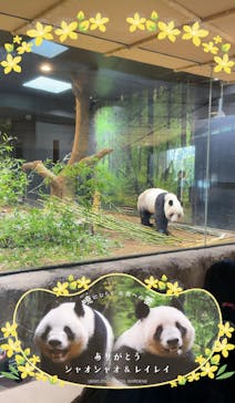 恩賜上野動物園に投稿された画像（2026/2/16）