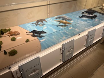 太地町立くじらの博物館に投稿された画像（2026/2/16）