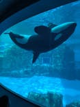 名古屋港水族館に投稿された画像（2026/2/16）