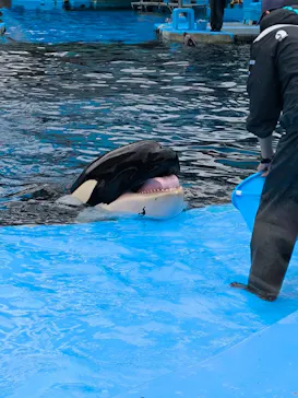 名古屋港水族館に投稿された画像（2026/2/16）