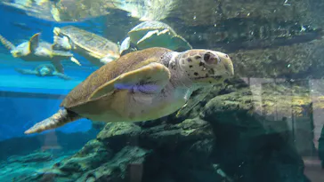 名古屋港水族館に投稿された画像（2026/2/16）