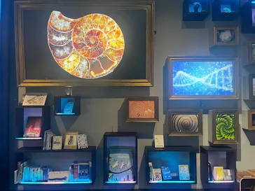 AQUARIUM × ART　atoa×神戸ポートタワーに投稿された画像（2026/2/16）