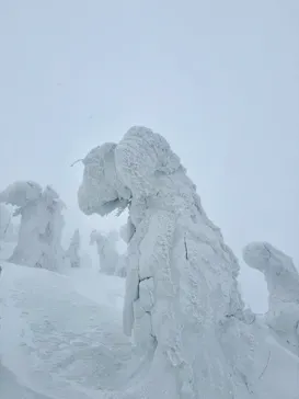 阿仁スキー場に投稿された画像（2026/2/16）