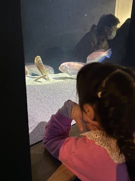 大分マリーンパレス水族館 「うみたまご」に投稿された画像（2026/2/16）