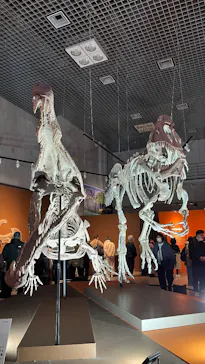 特別展「大絶滅展―生命史のビッグファイブ」に投稿された画像（2026/2/16）