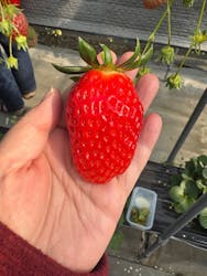 五桂池ふる〜つ村に投稿された画像（2026/2/16）