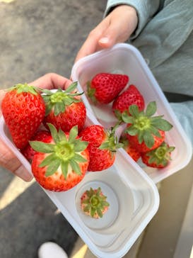 お陽様農園に投稿された画像（2026/2/16）