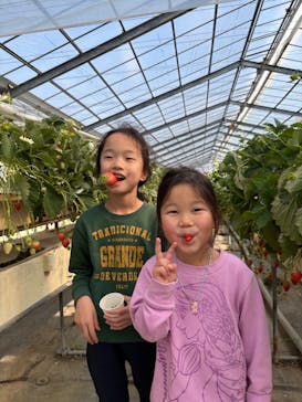 果実の里 原田農園に投稿された画像（2026/2/16）