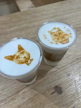 Cat Café MOFF つかしん店に投稿された画像（2026/2/16）