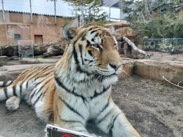 那須どうぶつ王国に投稿された画像（2026/2/16）