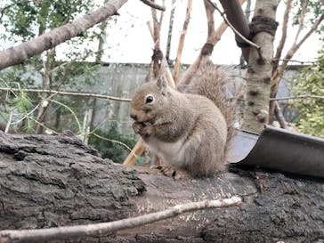 那須どうぶつ王国に投稿された画像（2026/2/16）