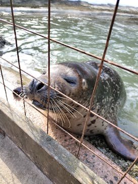 那須どうぶつ王国に投稿された画像（2026/2/16）