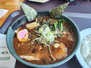 那須どうぶつ王国に投稿された画像（2026/2/16）