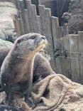 恩賜上野動物園に投稿された画像（2026/2/16）