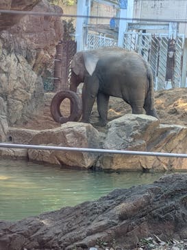 恩賜上野動物園に投稿された画像（2026/2/16）