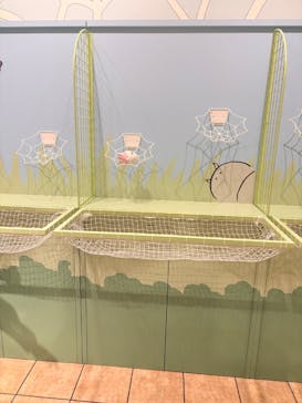 ちいかわパークに投稿された画像（2026/2/16）