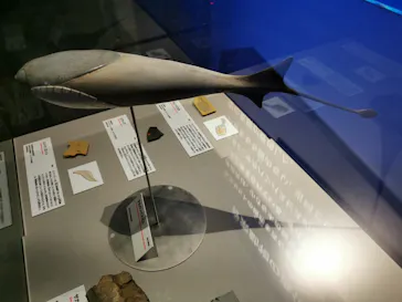 特別展「大絶滅展―生命史のビッグファイブ」に投稿された画像（2026/2/16）