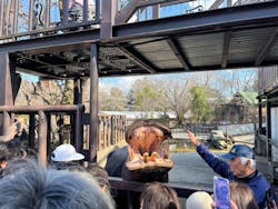 ANIMAL WONDER REZOURT 市原ぞうの国・サユリワールドに投稿された画像（2026/2/16）