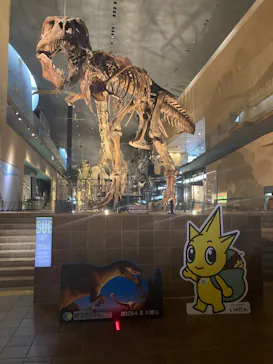 北九州市立自然史・歴史博物館（いのちのたび博物館）に投稿された画像（2026/2/16）