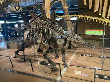 北九州市立自然史・歴史博物館（いのちのたび博物館）に投稿された画像（2026/2/16）