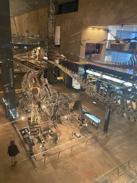 北九州市立自然史・歴史博物館（いのちのたび博物館）に投稿された画像（2026/2/16）