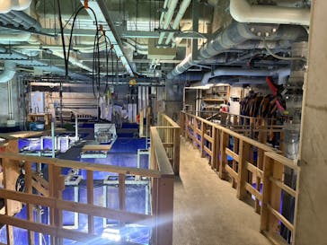 サンシャイン水族館に投稿された画像（2026/2/16）