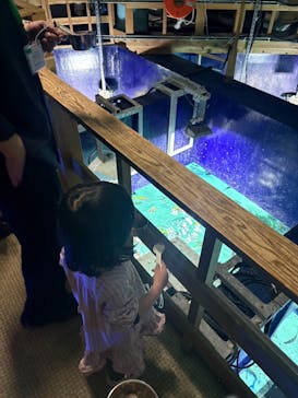 サンシャイン水族館に投稿された画像（2026/2/16）