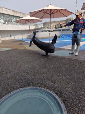 大分マリーンパレス水族館 「うみたまご」に投稿された画像（2026/2/16）